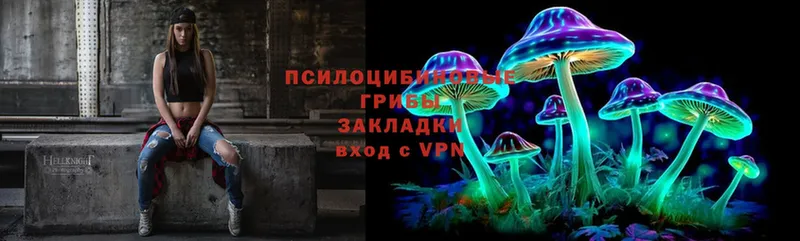 Псилоцибиновые грибы MAGIC MUSHROOMS  купить   Ветлуга 